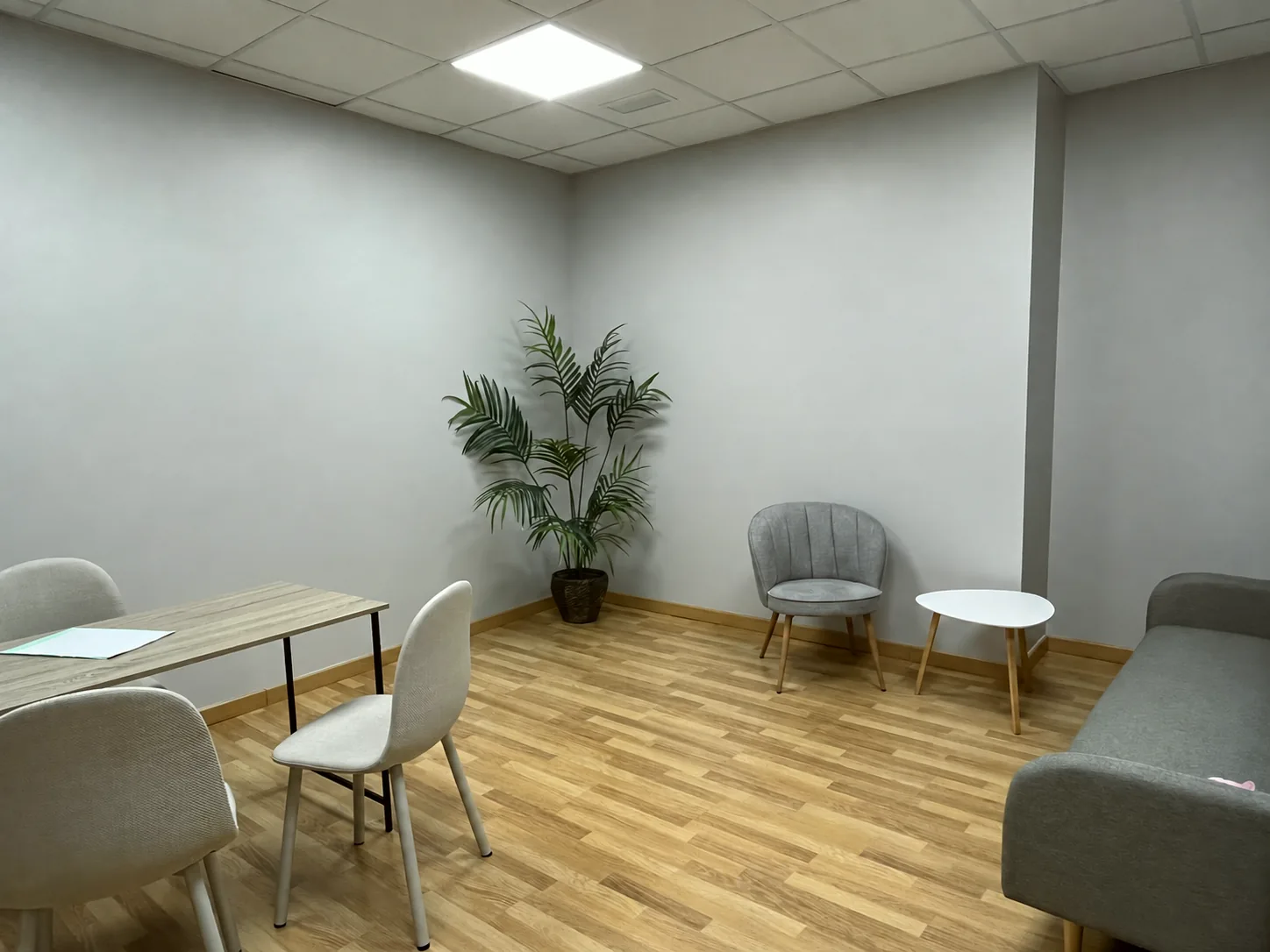 Sala de consulta: mesa, sillones y luz natural
